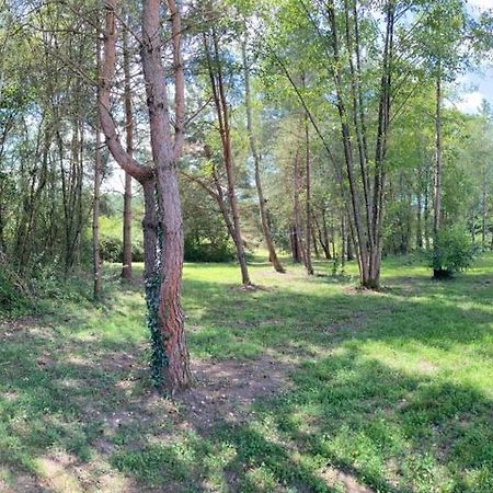Woody Lodge Salbris Kültér fotó